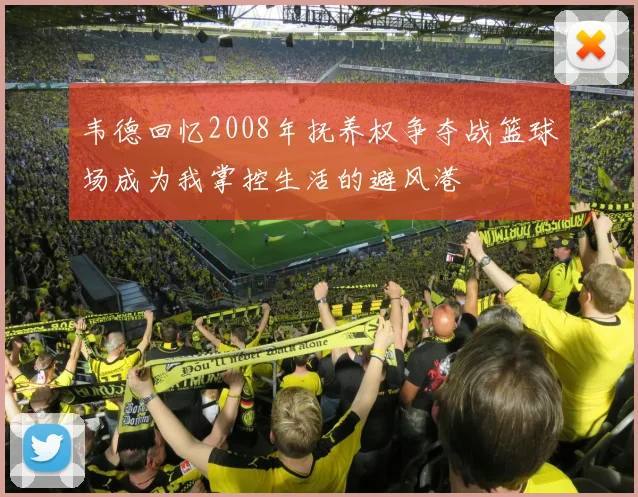 韦德回忆2008年抚养权争夺战篮球场成为我掌控生活的避风港